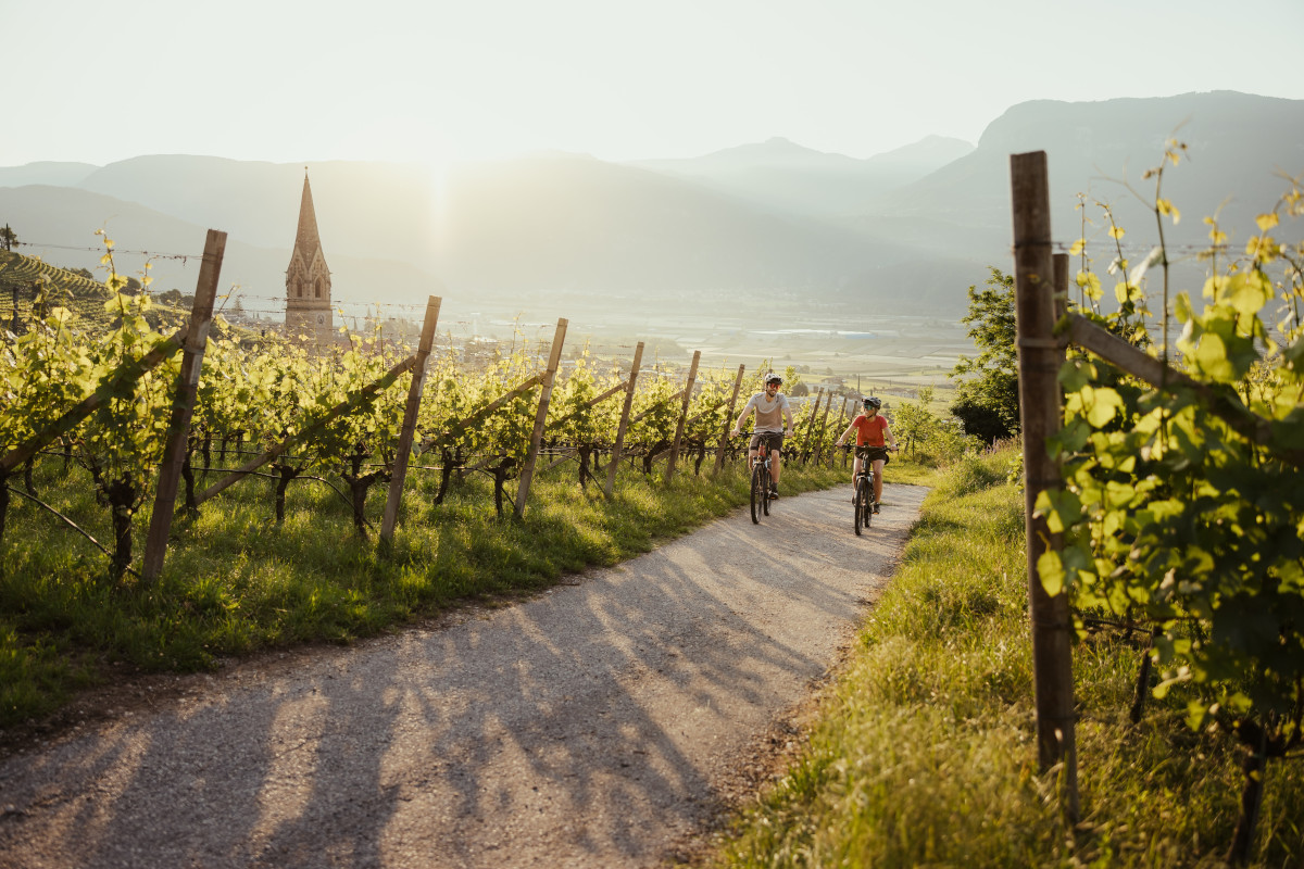 Alla scoperta dei vini dell'Alto Adige in bici? C'è il Bike Wine Ambassador